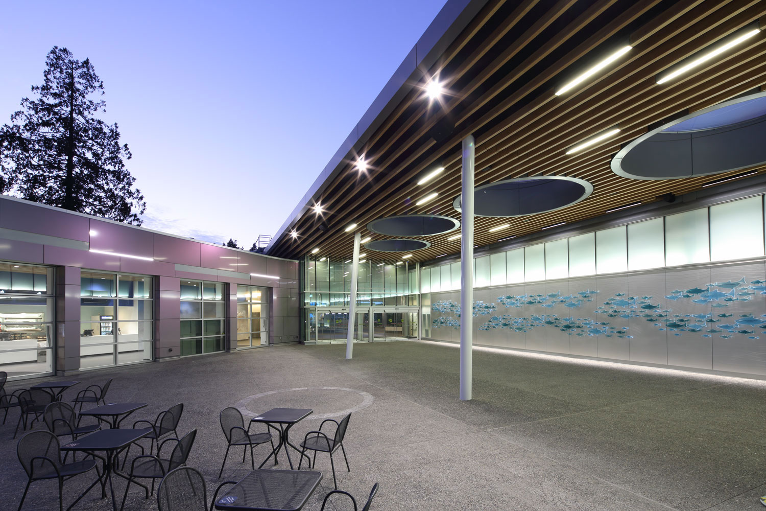 The Vancouver Aquarium Expansion, British Columbia, Musson Cattell Mackey Partnership, Keith Panel Systems, Alucobond ACM, Photography by Ema Peter